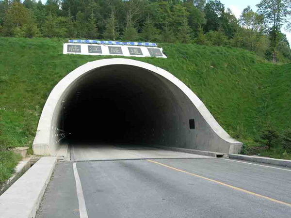 沈长公路白山至榆木桥子段临江隧道_副本.jpg